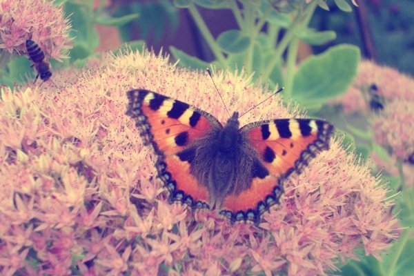 Фотовиставка Валентини Жуги